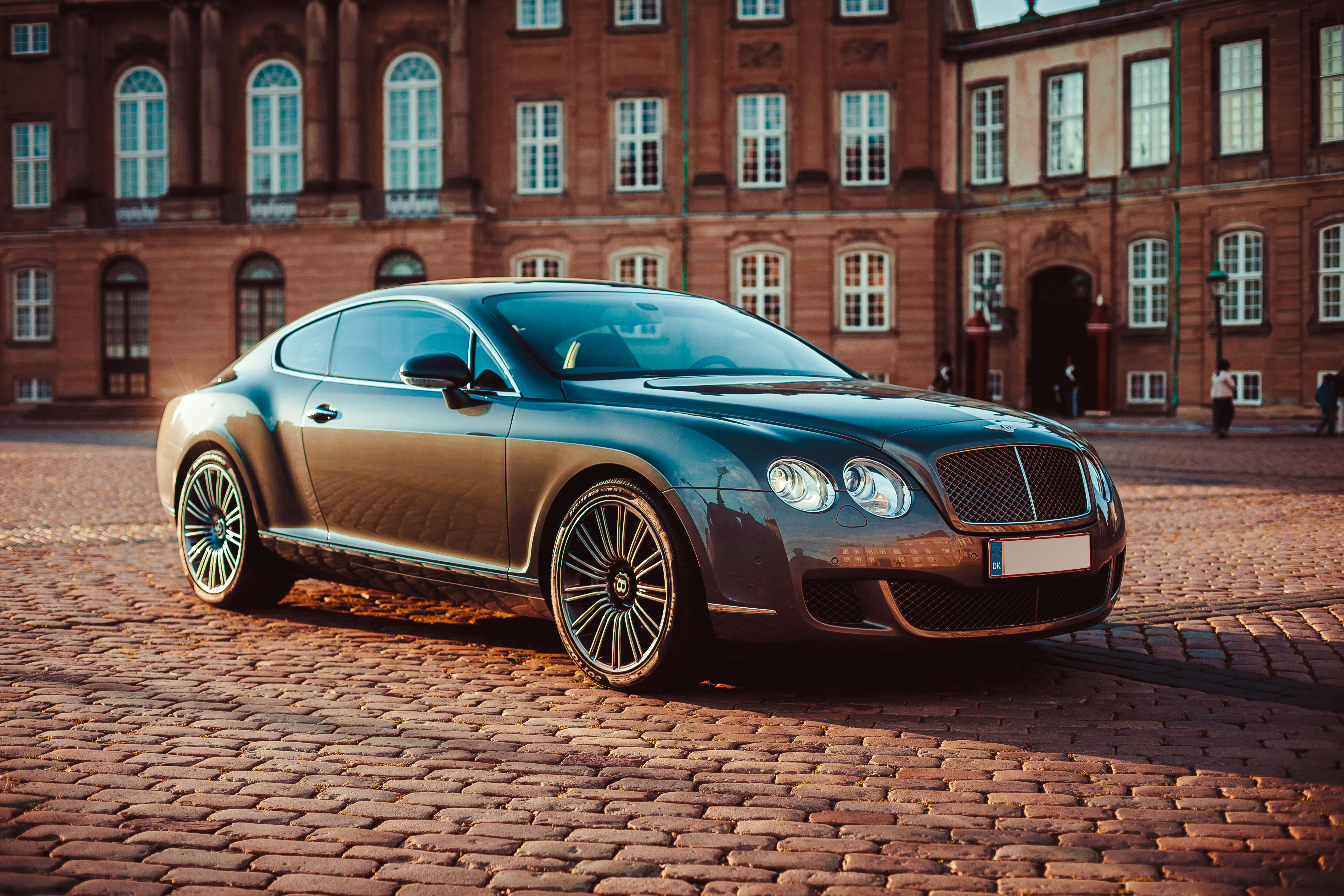 Copenhagen Airport Private Transfer To/From City or Cruise Port Image 4