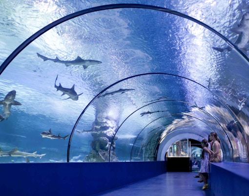 Ocean Dome - S.E.A Aquarium Singapore