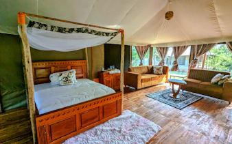 from zanzibar: 4-day mikumi national park safari & udzungwa waterfall hike-6