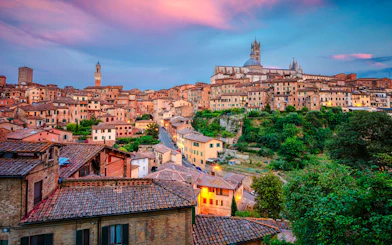 Siena Private Walking Tour with a Local Guide