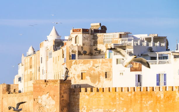 Essaouira city walls with seagulls flying, Magador, Marrakech.
