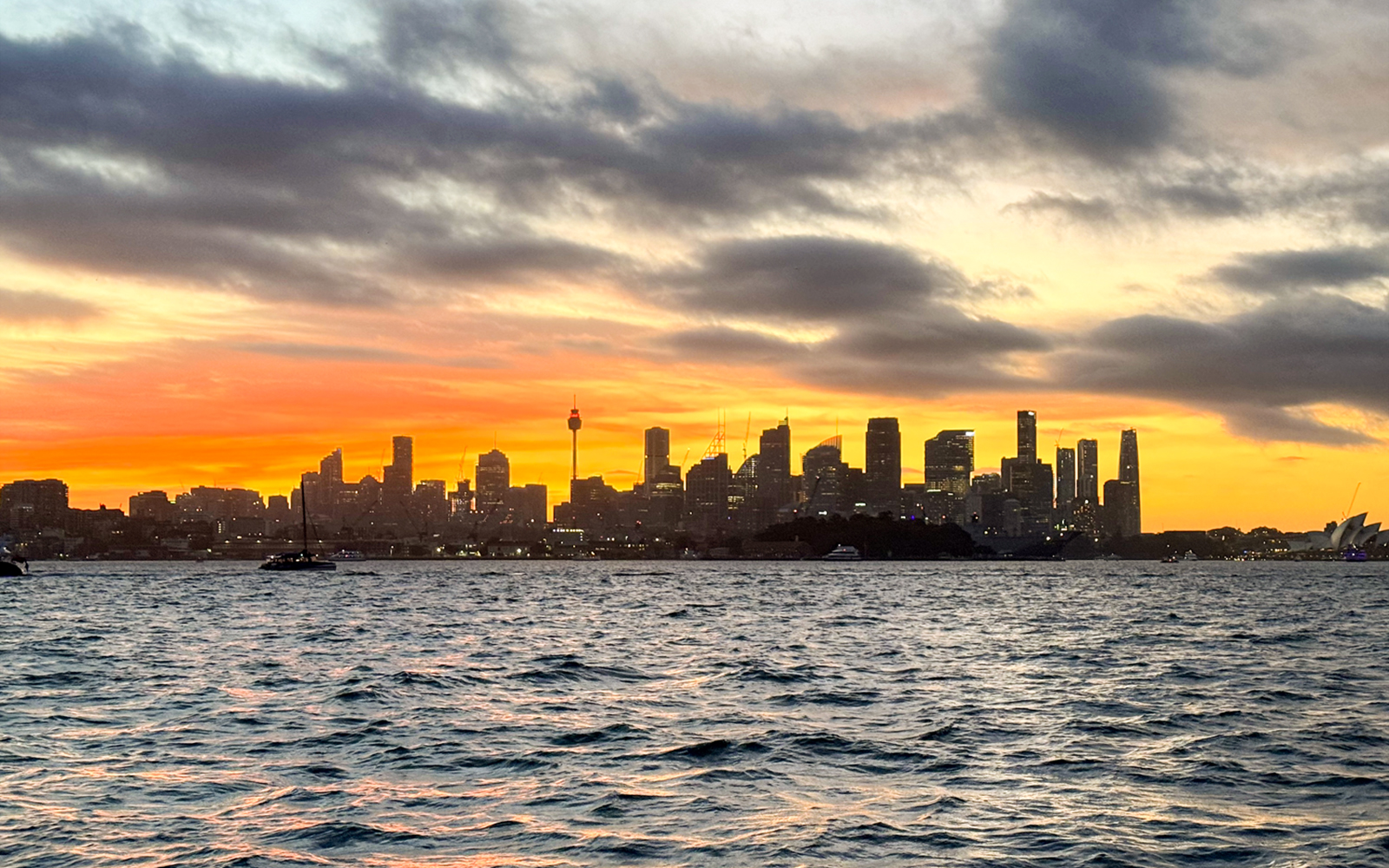 Sydney Harbour skyline at sunset during Golden Glow Sunset Harbour Cruise.