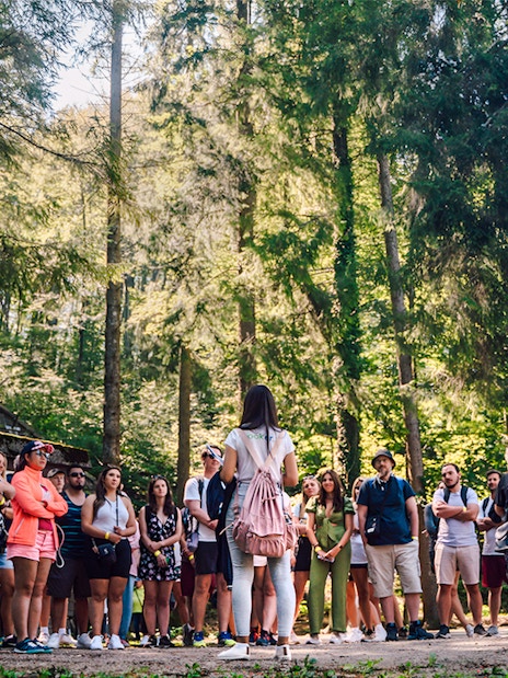 Tour group listening to a guide in Plitvice Lakes National Park forest.