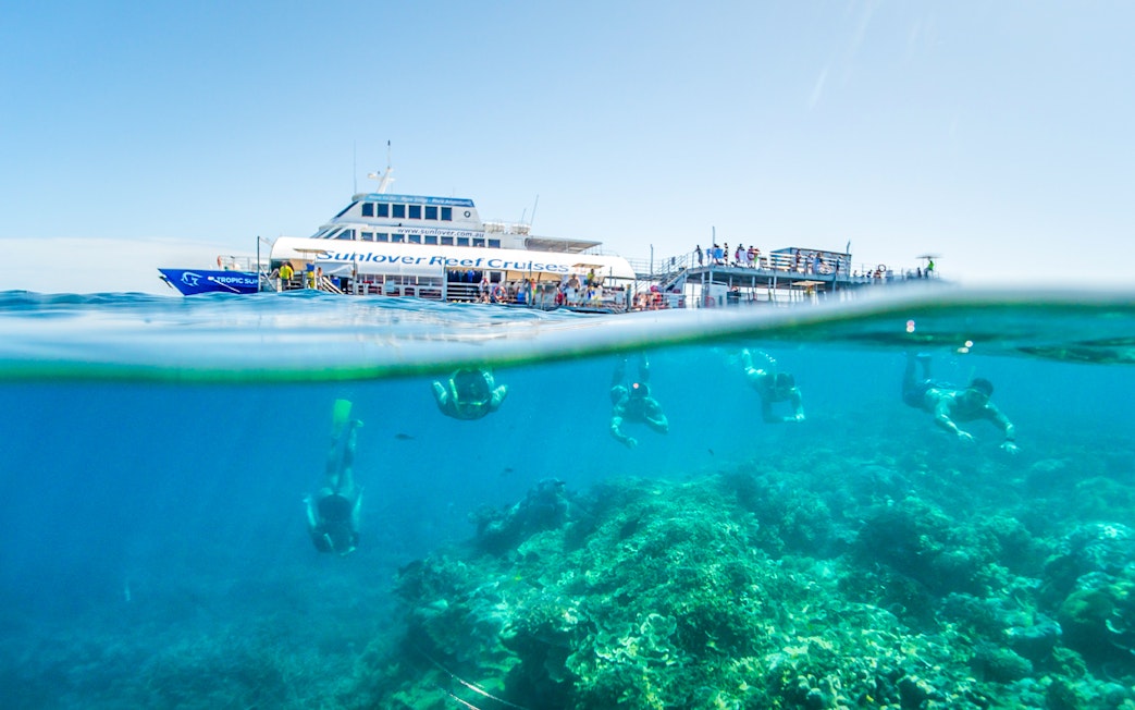Snorkelers exploring coral at Moore Reef with a cruise ship in the background, Great Barrier Reef.