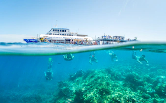 Snorkelers exploring coral at Moore Reef with a cruise ship in the background, Great Barrier Reef.