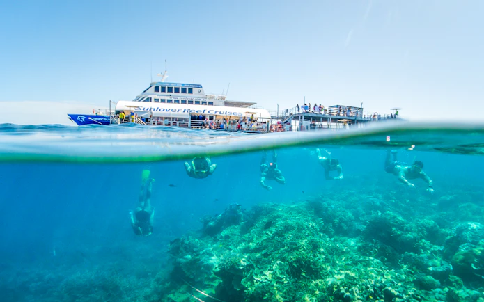 Snorkelers exploring coral at Moore Reef with a cruise ship in the background, Great Barrier Reef.