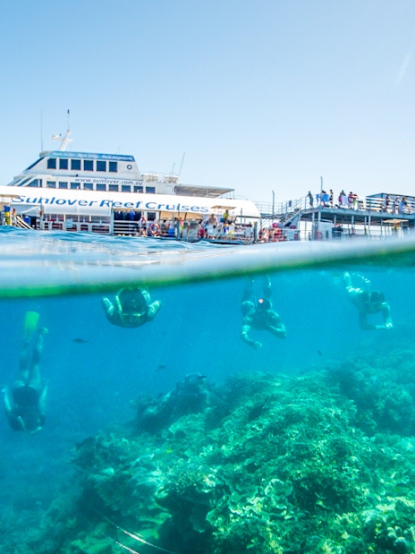 Snorkelers exploring coral at Moore Reef with a cruise ship in the background, Great Barrier Reef.