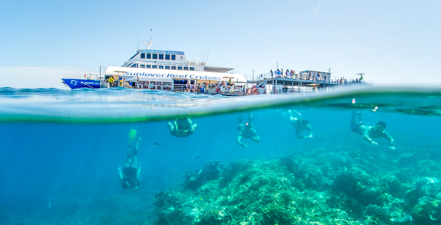 Snorkelers exploring coral at Moore Reef with a cruise ship in the background, Great Barrier Reef.