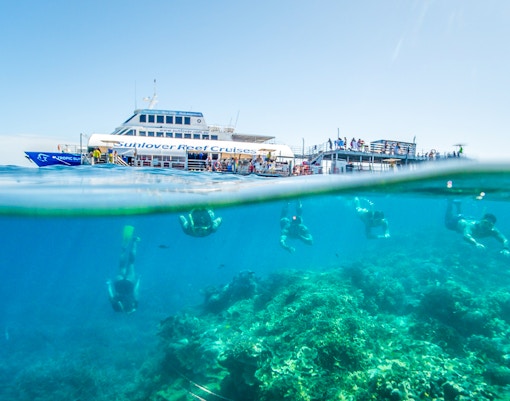 Snorkelers exploring coral at Moore Reef with a cruise ship in the background, Great Barrier Reef.