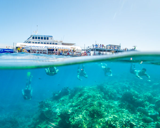 Cairns to Great Barrier Reef Snorkel Cruise with Pontoon Activities and Lunch by Sunlover