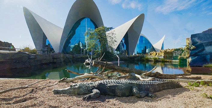 Oceanografic Valencia