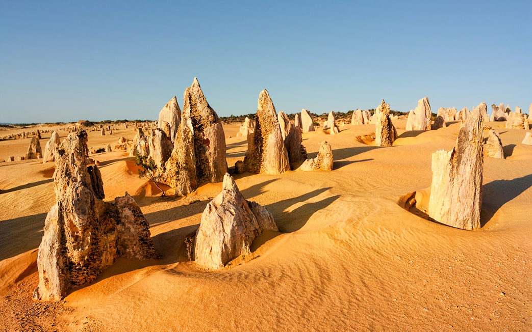 Limestone formations in the Pinnacles Desert, Nambung National Park, Western Australia.