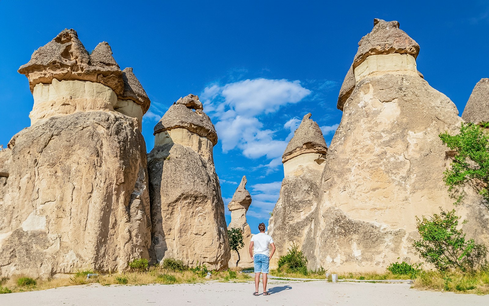 Person standing among fairy chimneys in Pasabag Monks Valley, Cappadocia.