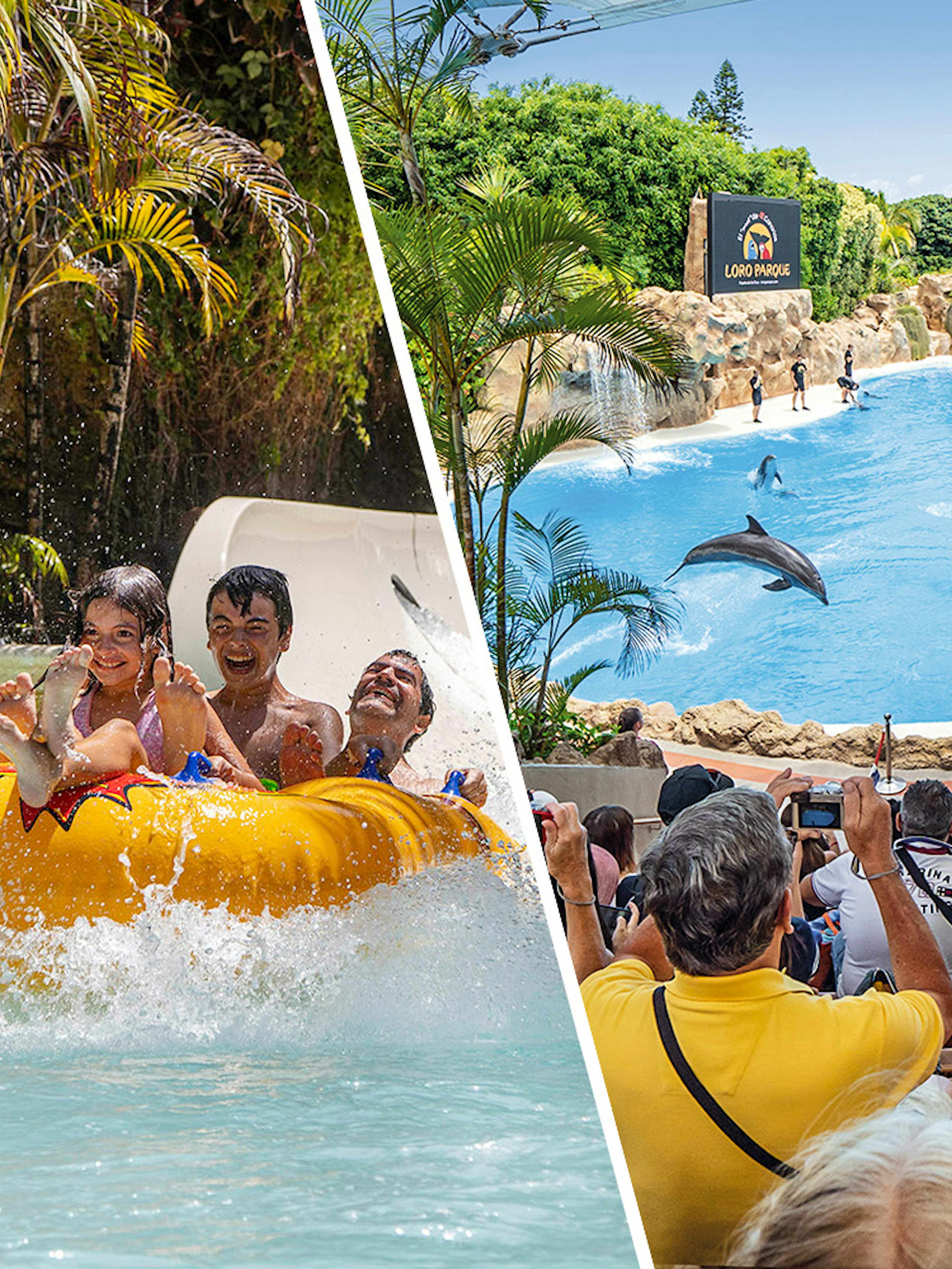 Siam Park water ride and Loro Parque dolphin show, Canary Islands.
