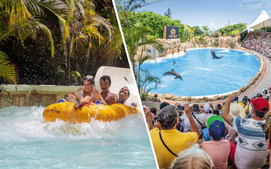 Siam Park water ride and Loro Parque dolphin show, Canary Islands.