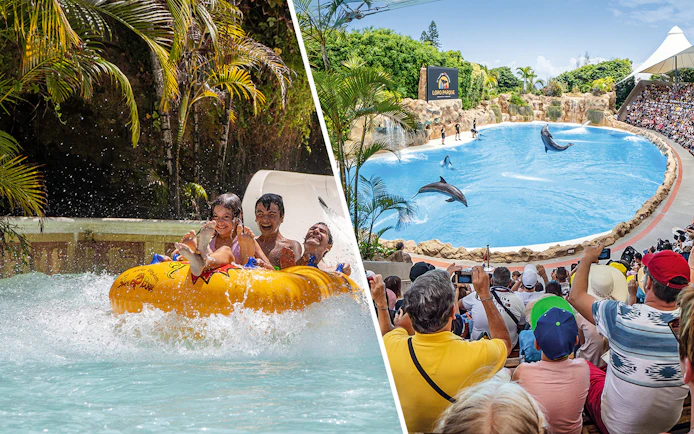 Siam Park water ride and Loro Parque dolphin show, Canary Islands.