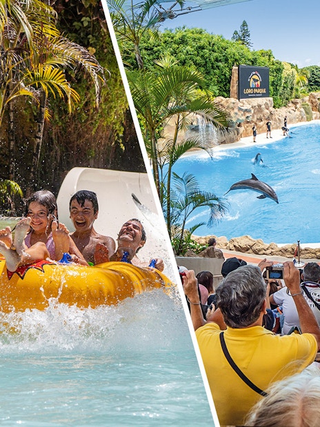Siam Park water ride and Loro Parque dolphin show, Canary Islands.