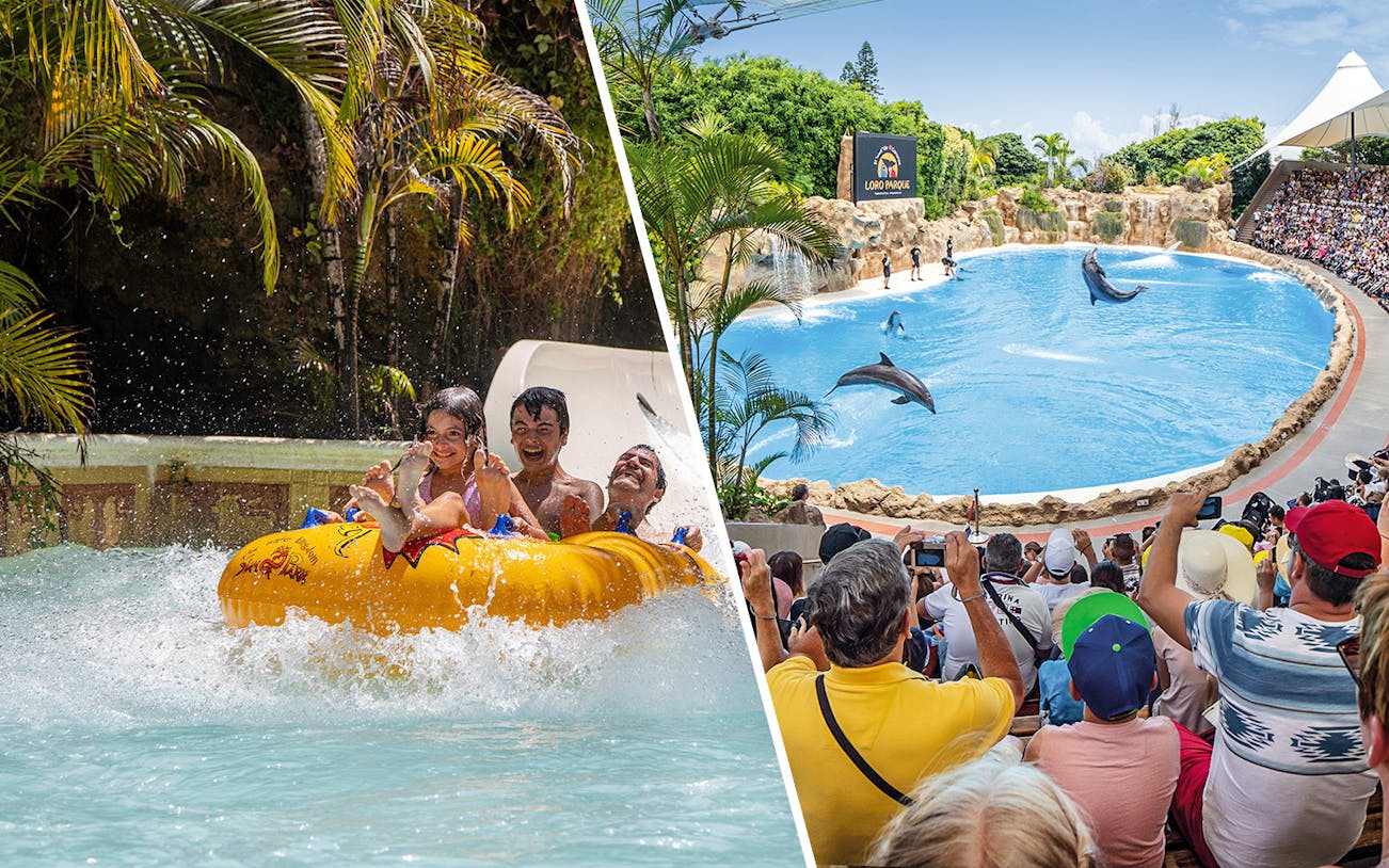 Siam Park water ride and Loro Parque dolphin show, Canary Islands.