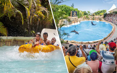 Siam Park water ride and Loro Parque dolphin show, Canary Islands.