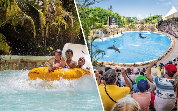 Siam Park water ride and Loro Parque dolphin show, Canary Islands.