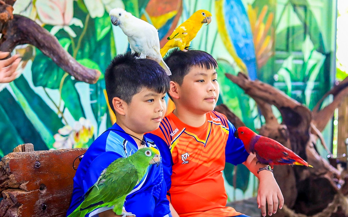 Two boys with colorful parrots at Sri Ayutthaya Lion Park.