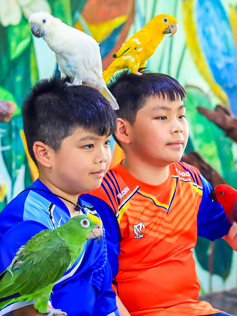 Two boys with colorful parrots at Sri Ayutthaya Lion Park.