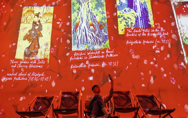 Van Gogh The Immersive Experience with projected art and seated visitor.