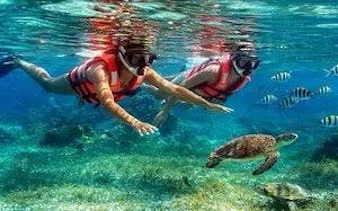 Snorkelers exploring coral reef with sea turtle at Puerto Morelos National Reef Park, Riviera Maya.