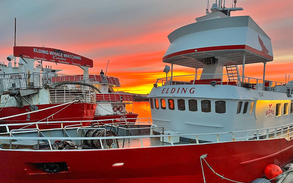 Elding boat docked at sunset for Midnight Sun Whale Watching Tour in Reykjavik.