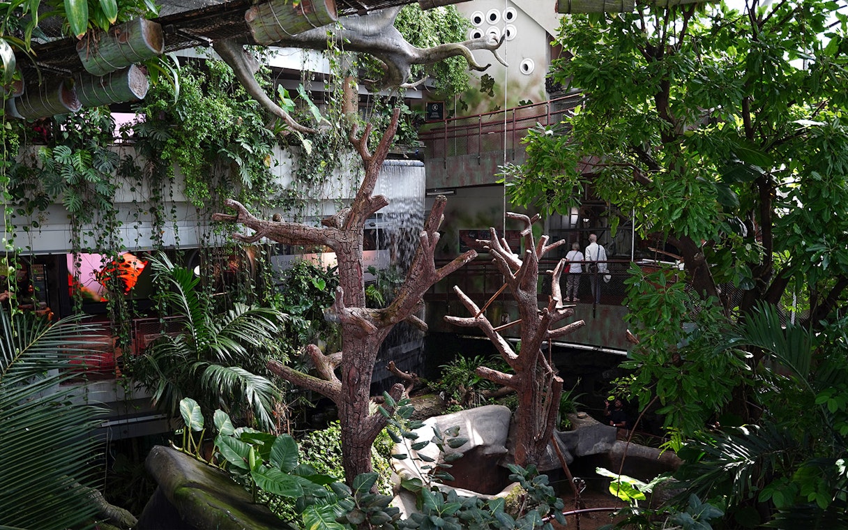 Visitors exploring lush greenery and waterfall at Green Planet Dubai indoor rainforest.