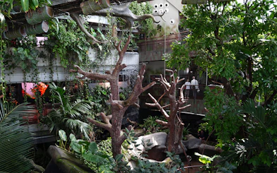 Visitors exploring lush greenery and waterfall at Green Planet Dubai indoor rainforest.