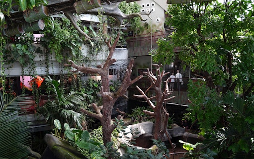 Visitors exploring lush greenery and waterfall at Green Planet Dubai indoor rainforest.