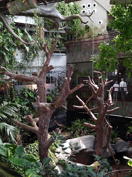 Visitors exploring lush greenery and waterfall at Green Planet Dubai indoor rainforest.