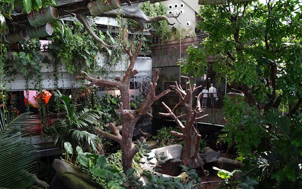 Visitors exploring lush greenery and waterfall at Green Planet Dubai indoor rainforest.