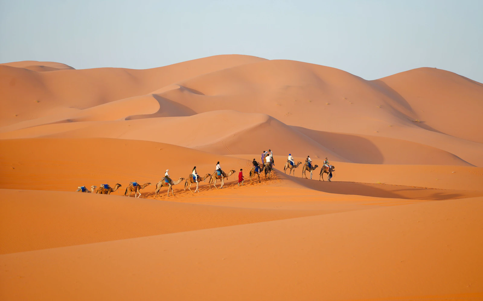 Dubai Desert 1-Hour Camel Trek with Transfers