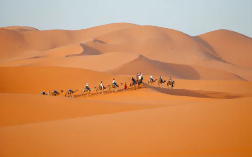 Camel caravan trekking through Dubai desert dunes.