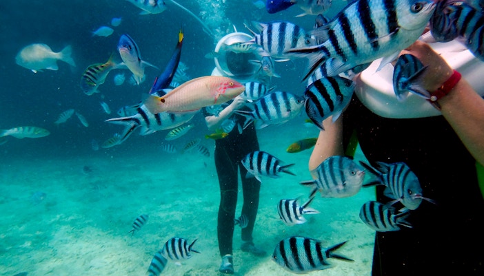 Lost Chambers Aquarium