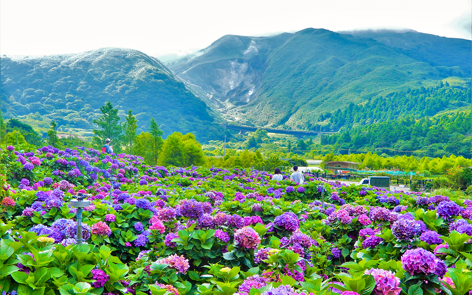 Taiwan Hop-on Hop-off tours