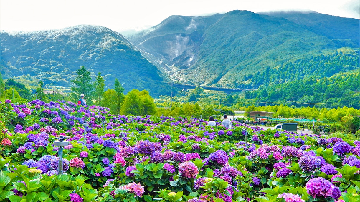 Taiwan Hop-on Hop-off tours