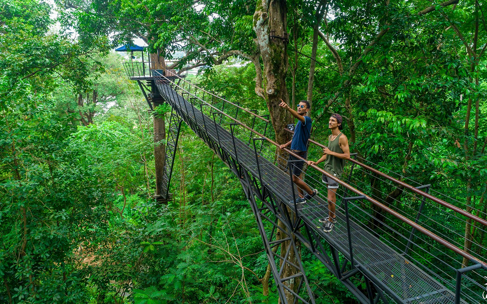 Men ziplining through lush forest at Hanuman World, Phuket.