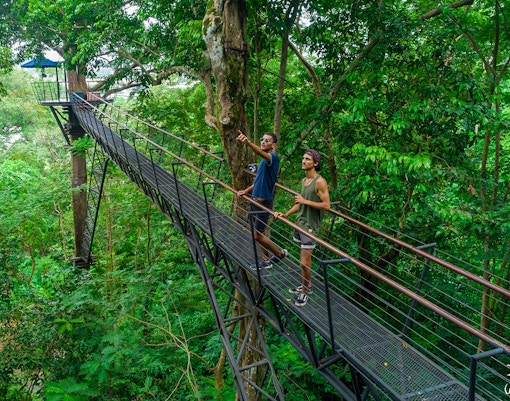 Men on a treetop walkway at Hanuman World, Phuket.