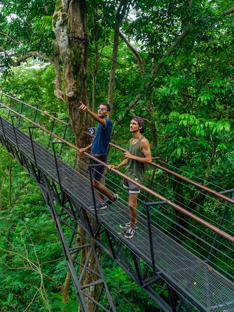 Men on a treetop walkway at Hanuman World, Phuket.