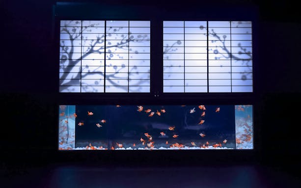Goldfish swimming in a tank beneath a backlit Japanese screen at Art Aquarium Museum GINZA.