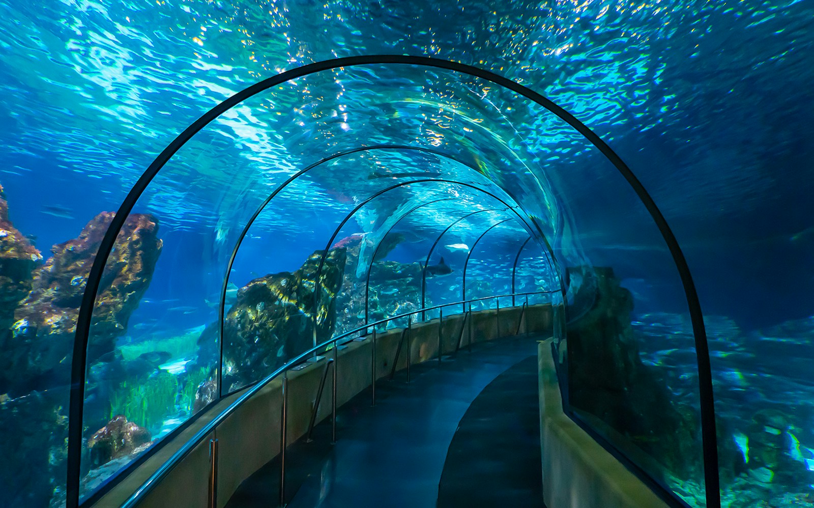 Barcelona Aquarium pathway