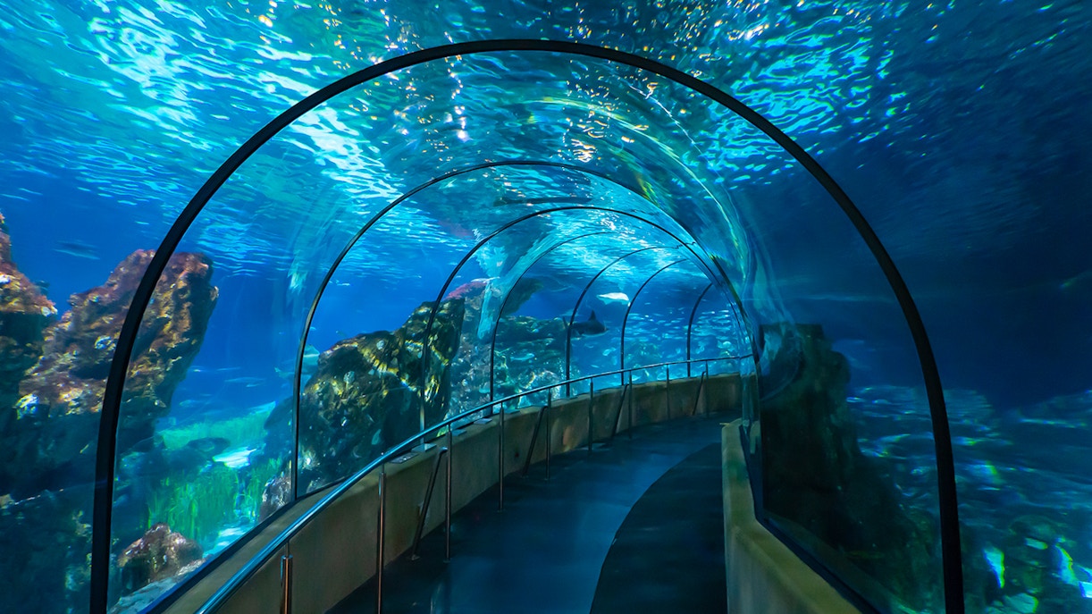 Barcelona Aquarium