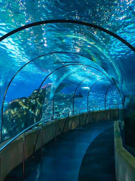 Visitors walking through underwater tunnel at Barcelona Aquarium.