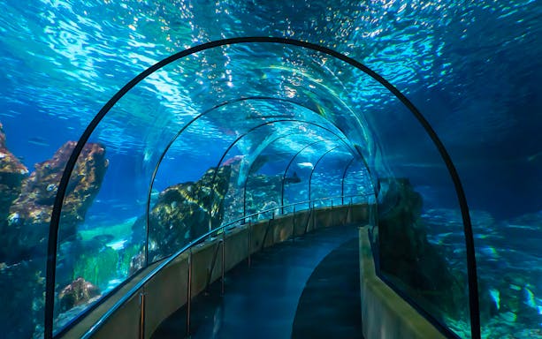 Visitors walking through underwater tunnel at Barcelona Aquarium.