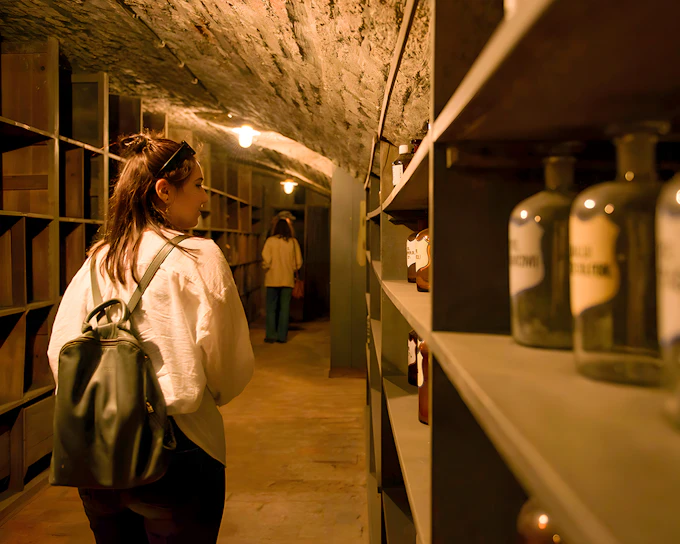 Guided Tour of Vienna’s Historical Pharmacy Cellar