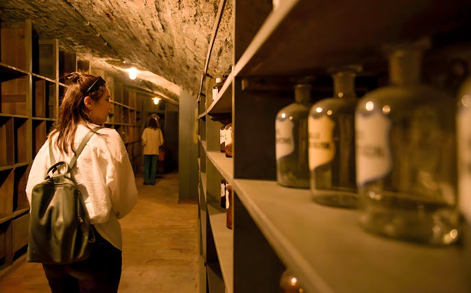 Tourists exploring the Historical Pharmacy Cellar in Vienna with a guide, viewing antique bottles.