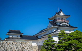Toyama Castle with stone walls and trees in Toyama City, Toyama Prefecture.